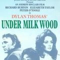 Photo Under Milk Wood