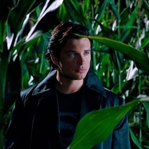 Photo Tom Welling