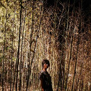 Photo Blood Island (Bedevilled)