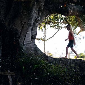 Photo Julie Bertuccelli