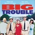Photo Big Trouble