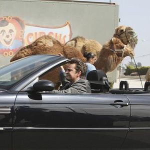 Photo Matthew Perry