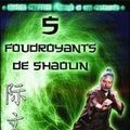 Photo Les 5 Foudroyants de Shaolin