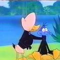 Photo Quackodile Tears