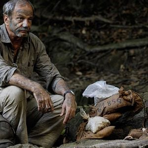 Photo 600 kilos d'or pur