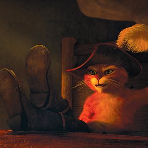 Photo Le Chat Potté