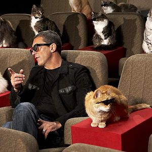 Photo Le Chat Potté