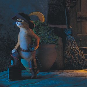 Photo Le Chat Potté