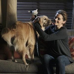 Photo Stana Katic