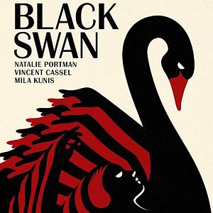 Photo Black Swan