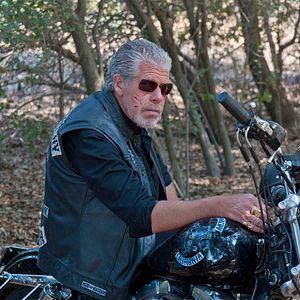 Photo Ron Perlman