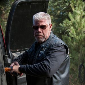 Photo Ron Perlman
