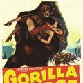 Photo Gorilla at Large