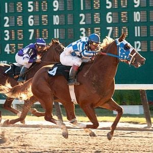 Photo Randall Wallace