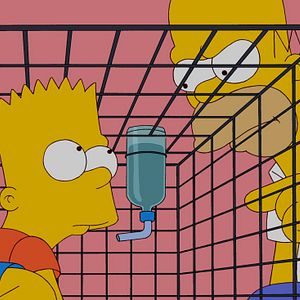 Photo Les Simpson