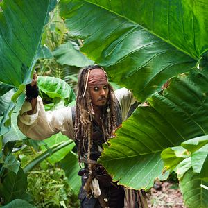 Photo Johnny Depp