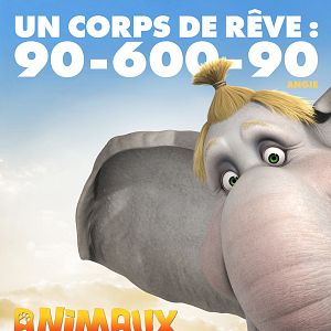 Photo Animaux et Cie
