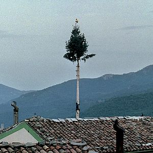 Photo Michelangelo Frammartino