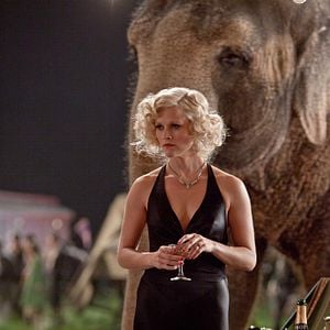 Photo De l'eau pour les éléphants
