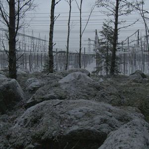 Photo Michael Madsen (II)