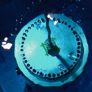 Photo Michael Madsen (II)