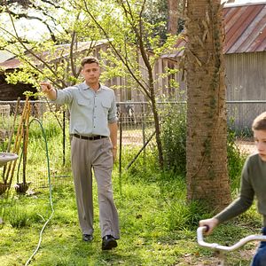 Photo The Tree of Life