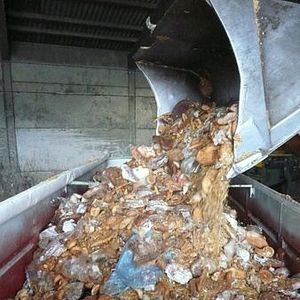 Photo Taste the Waste