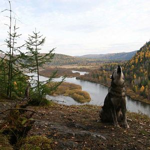 Photo Sibir. Monamour
