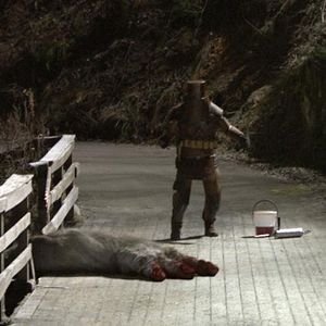 Photo André Øvredal