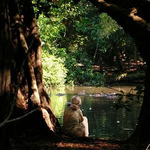 Photo Jane Goodall : retour à Gombe