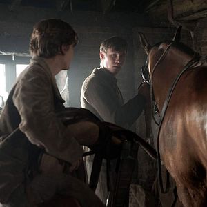 Photo Cheval de guerre