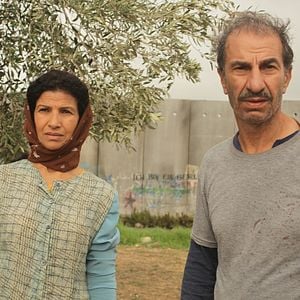 Photo Le cochon de Gaza