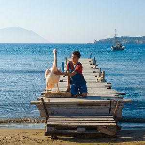 Photo Thibault Le Guellec