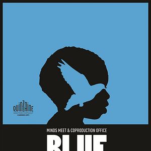 Photo Blue Bird