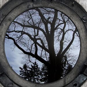 Photo An Ecology of Mind