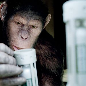 Photo La Planète des singes : les origines