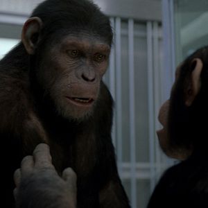 Photo La Planète des singes : les origines