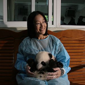 Photo Jennifer Yuh Nelson