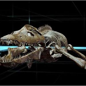 Photo Océanosaures 3D : Voyage au Temps des Dinosaures