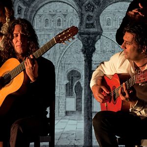 Photo Flamenco, Flamenco