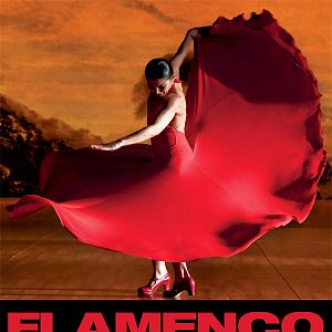 Photo Flamenco, Flamenco