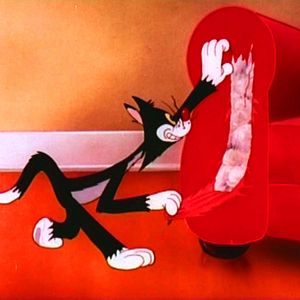 Photo Tex Avery Cartoons n°2