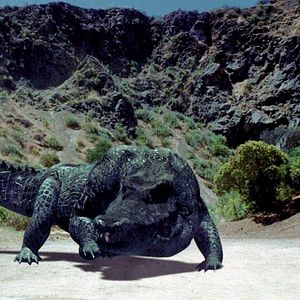 Photo Mega Python vs. Gatoroid