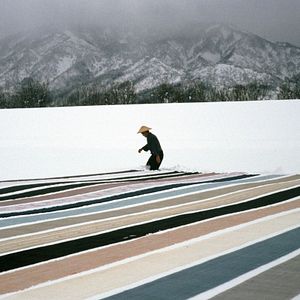 Photo Under Snow