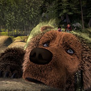 Photo L'Ours Montagne