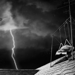 Photo Frankenweenie