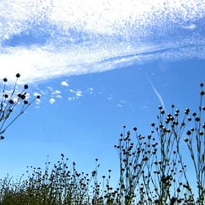 Photo La Pluie et le beau temps