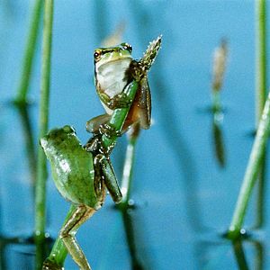 Photo La Clé des champs