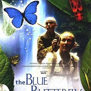 Photo Le Papillon bleu
