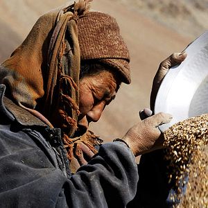 Photo Himalaya, terre des femmes
